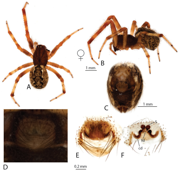 Figure 13
