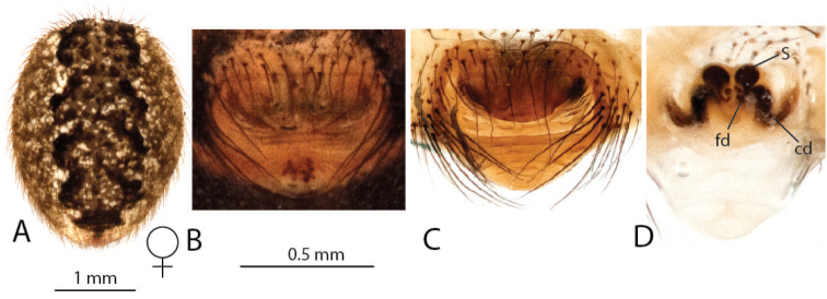Figure 15