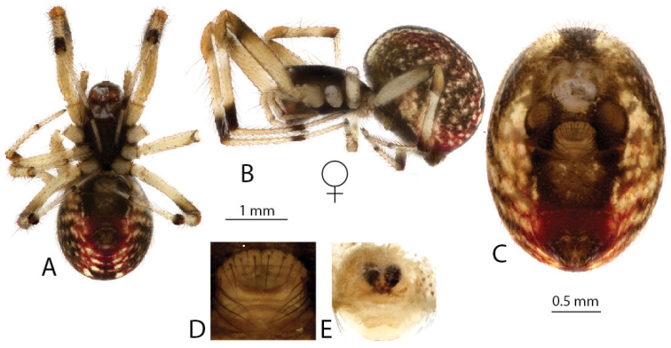 Figure 16