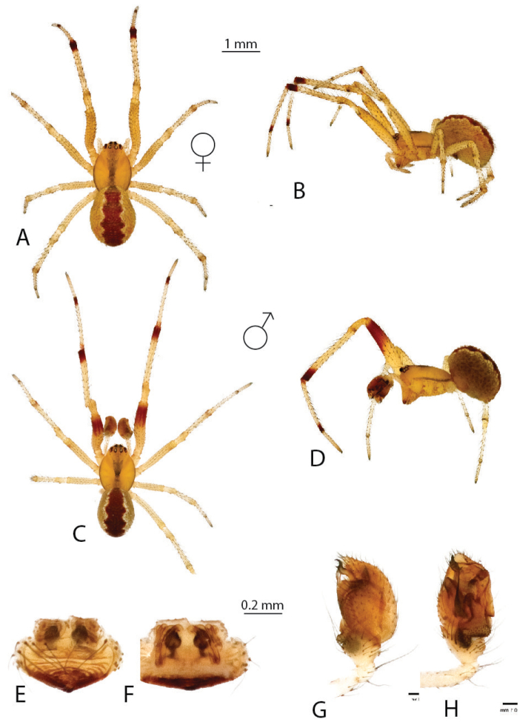 Figure 17