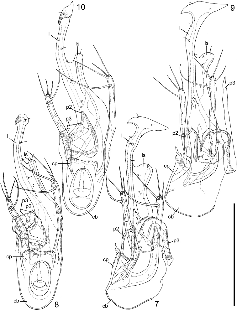 Figures 7–10