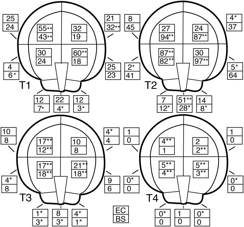 Fig 10