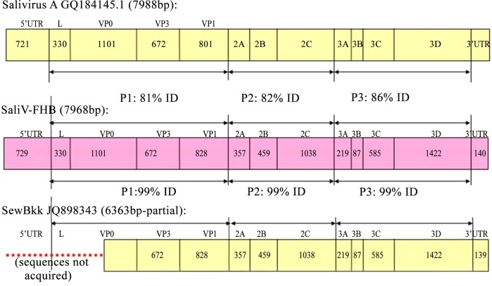 Fig 3