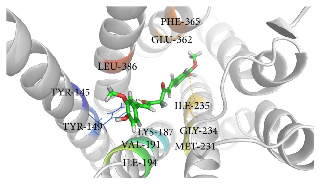Figure 1
