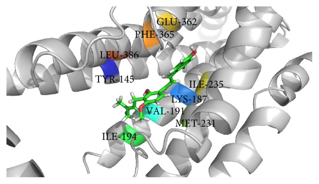 Figure 2