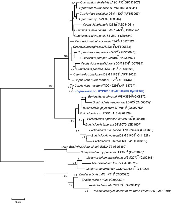 Figure 2