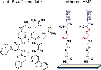 Figure 22