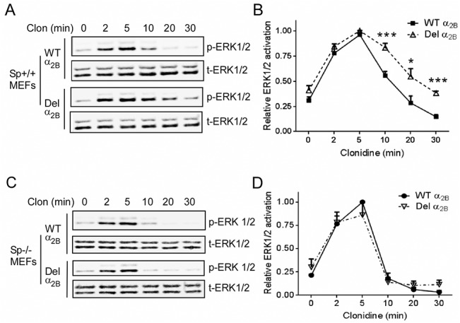 Fig 7