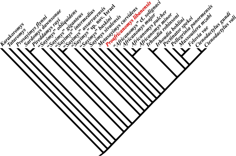 Figure 5