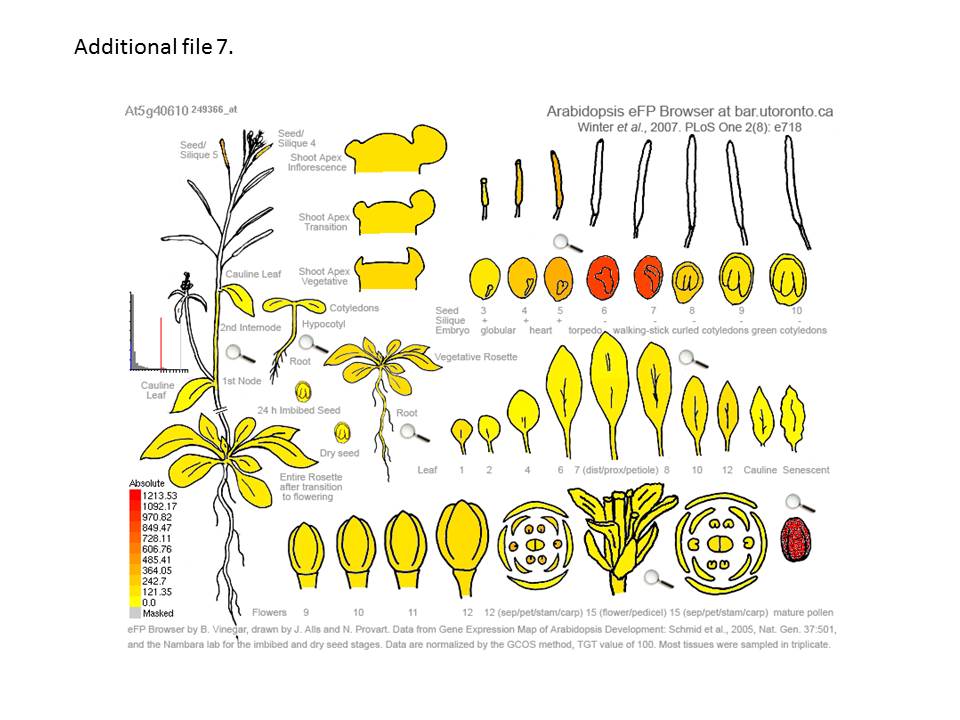 Figure 14