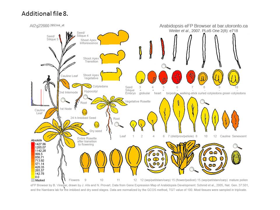 Figure 15