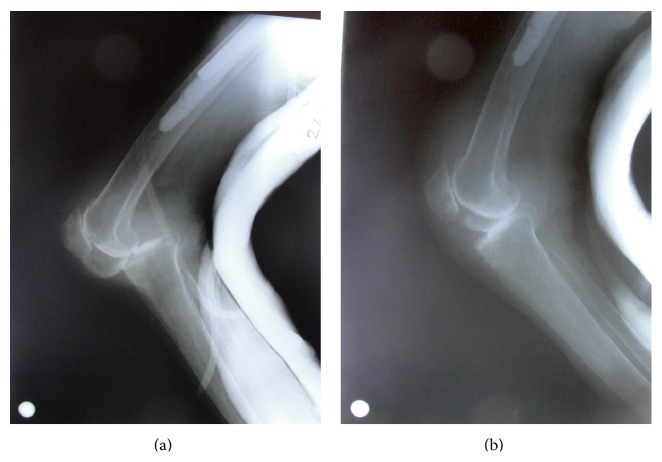 Figure 4