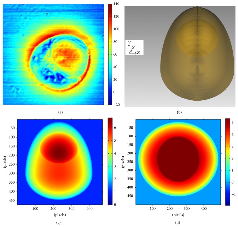 Figure 4