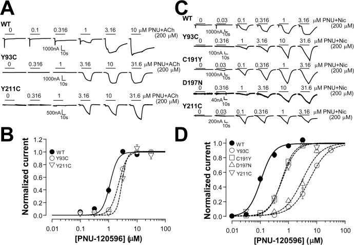 Fig 6