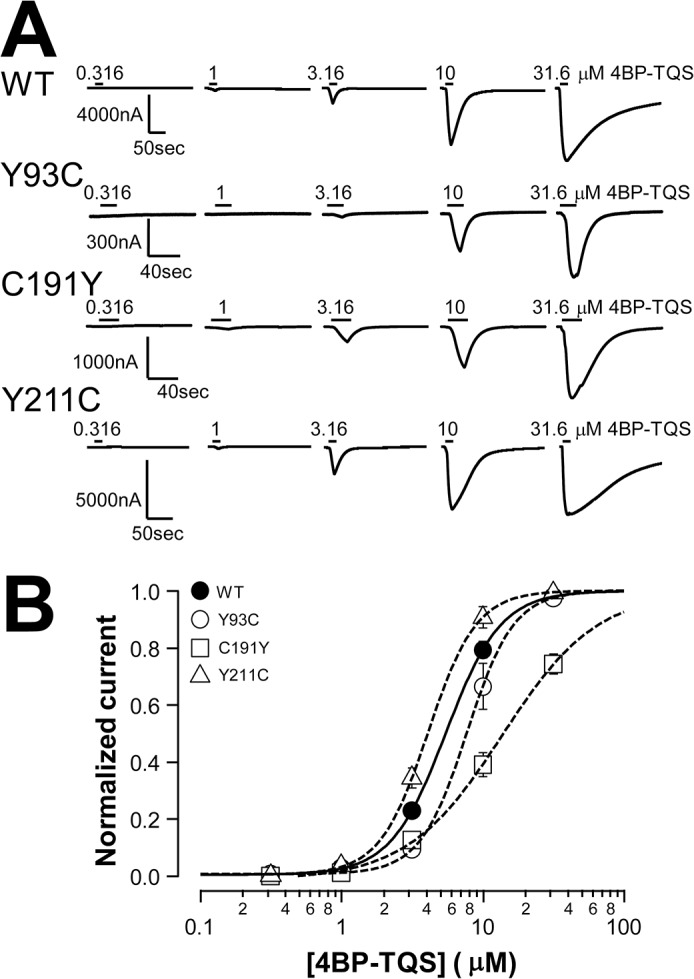 Fig 7