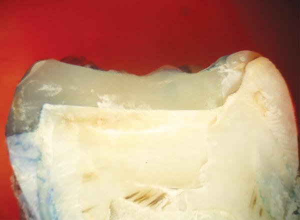 Fig. 7