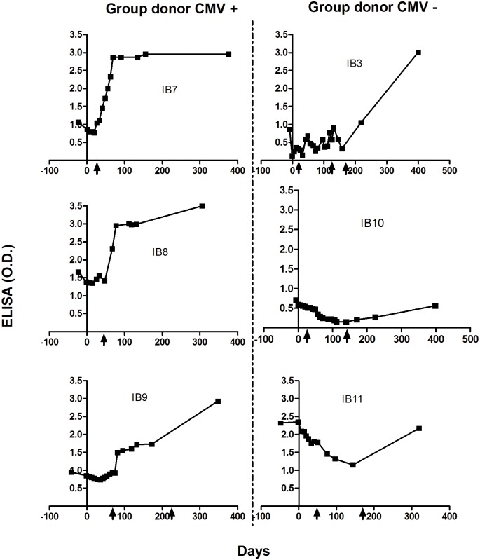 Fig 5