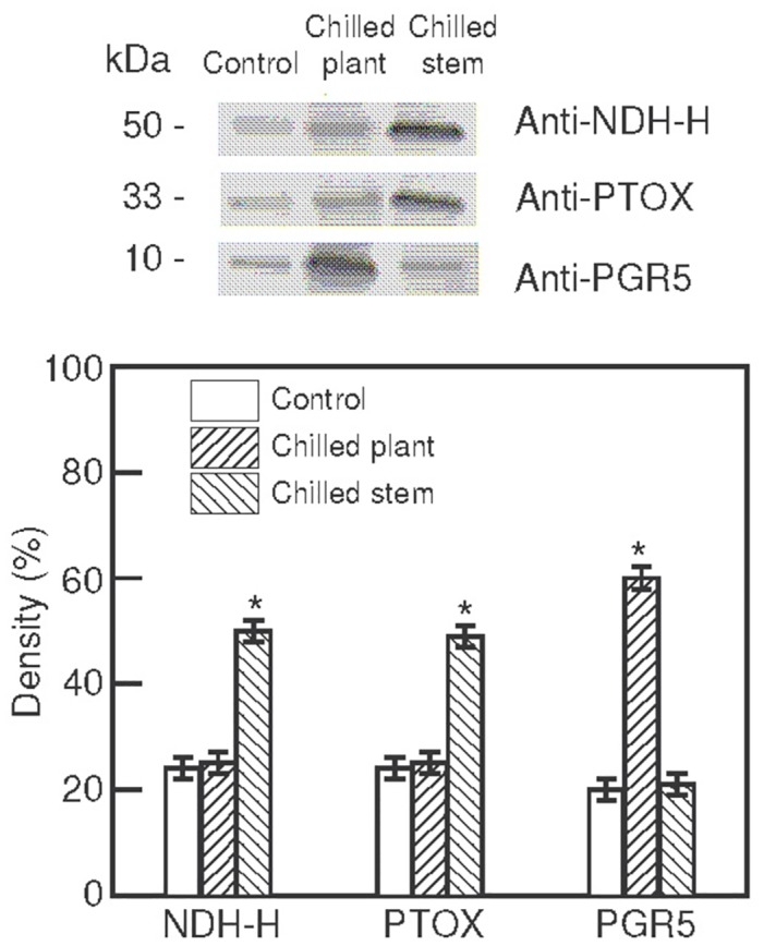 Fig 5