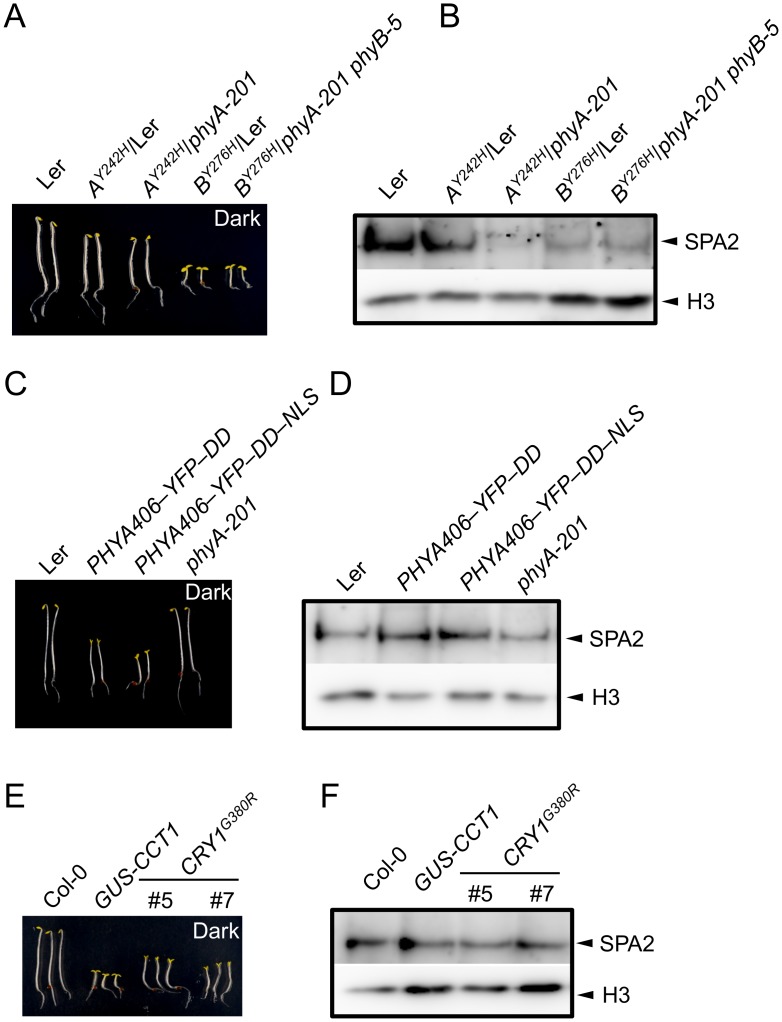 Fig 5