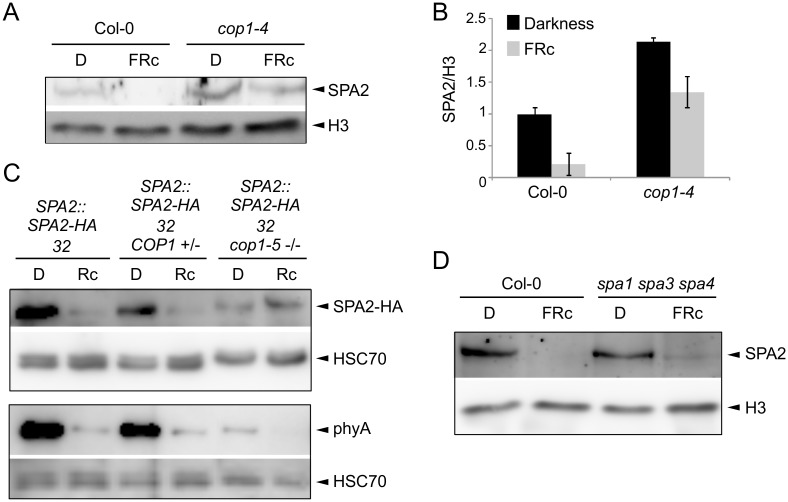 Fig 8