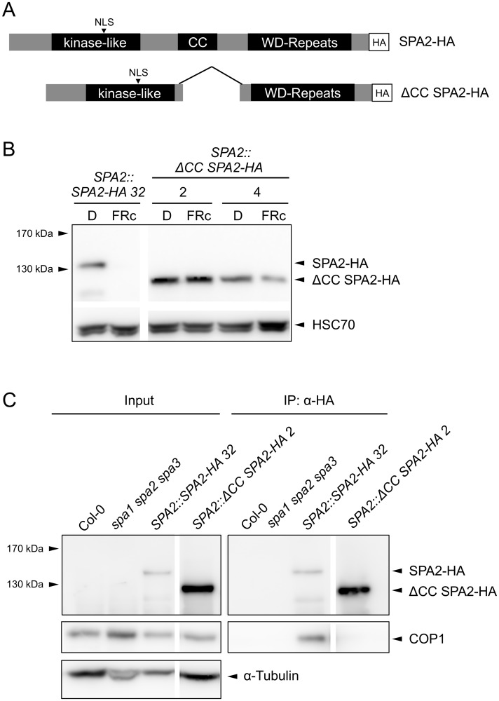 Fig 9