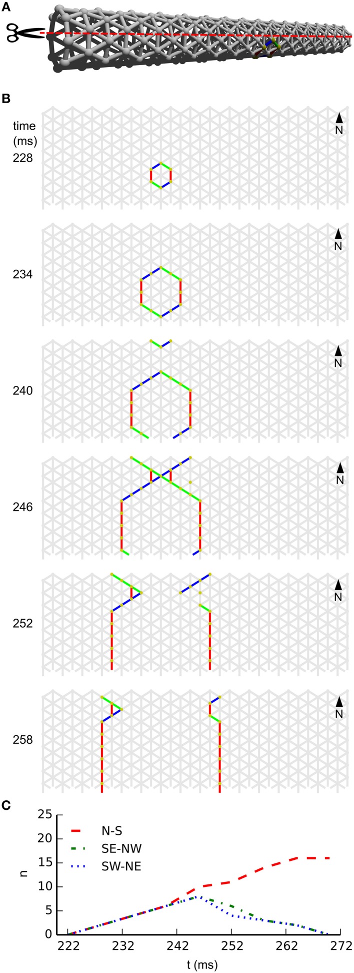 Figure 4