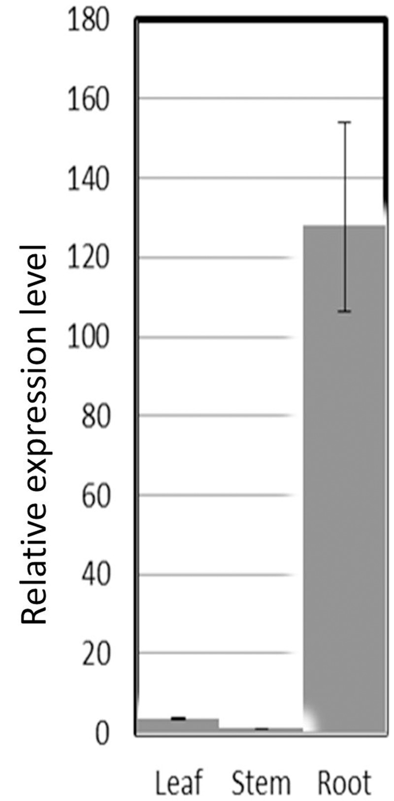 Fig 2