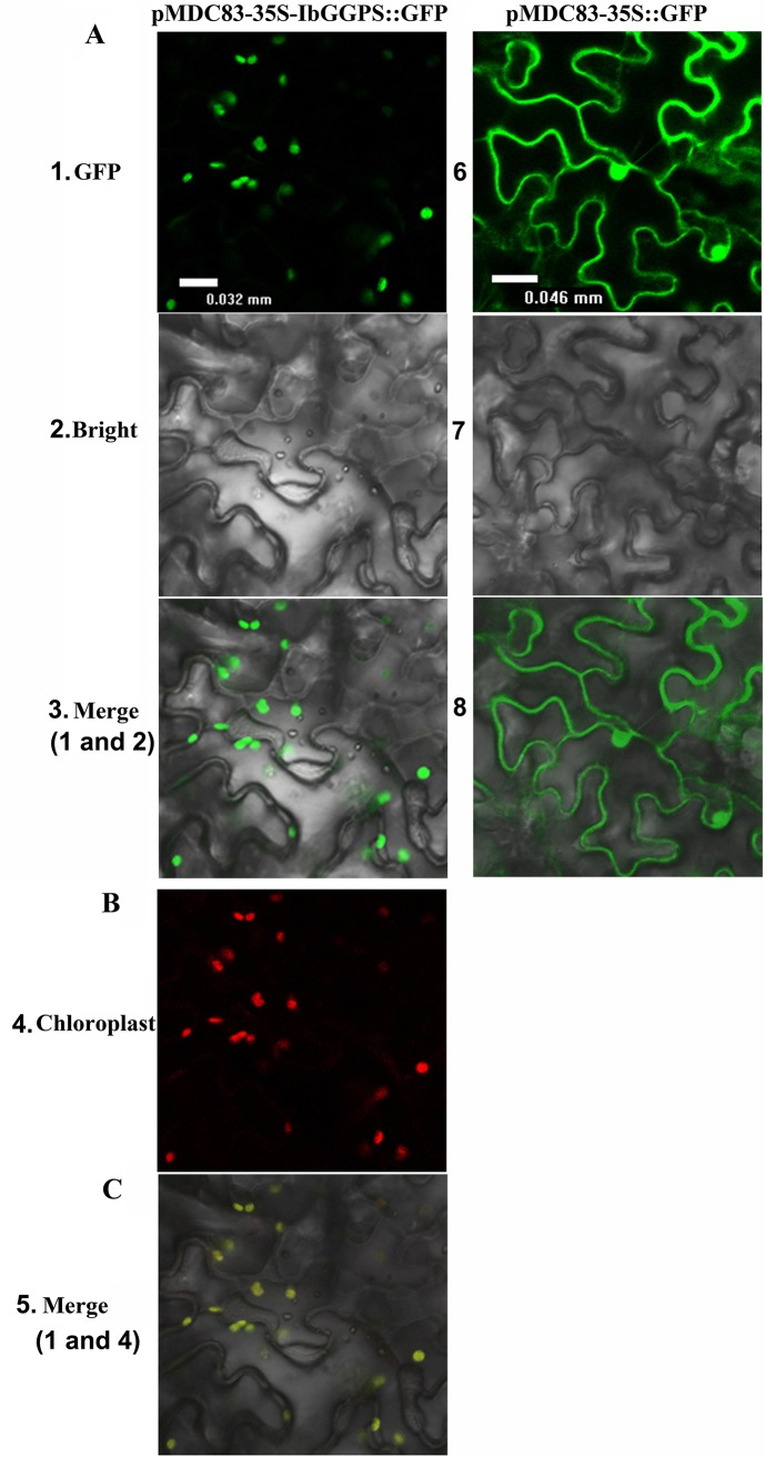 Fig 4