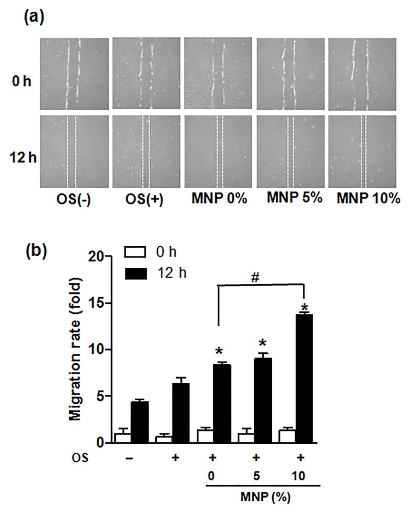 Fig 4