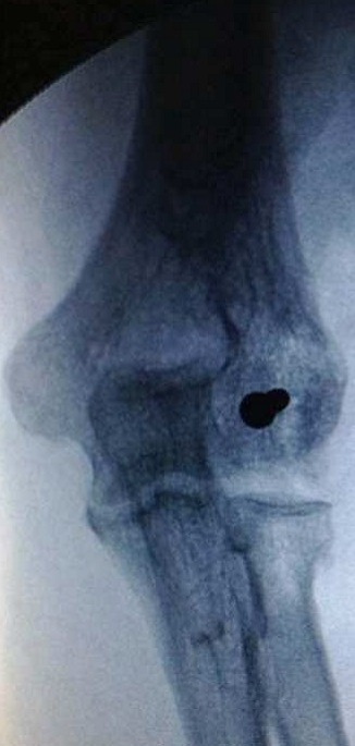Figure 5