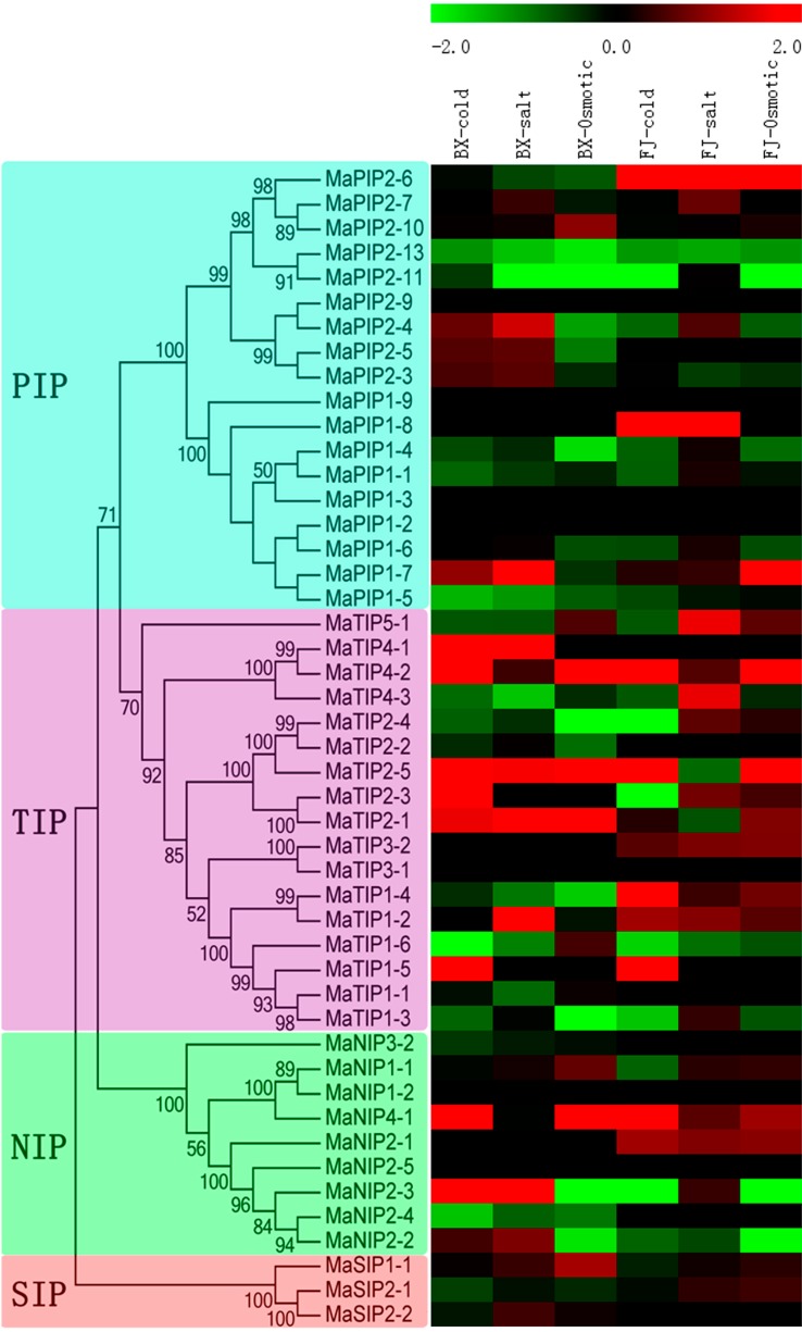 Figure 7