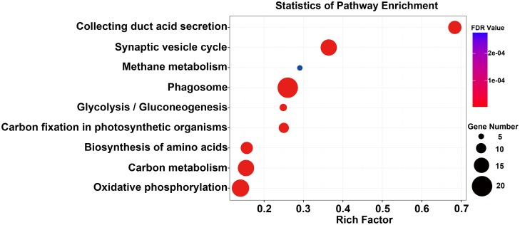 Fig 5