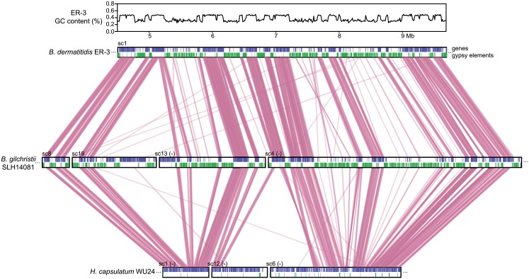Fig 3