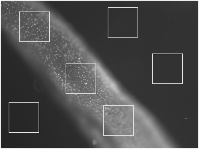 Fig 3
