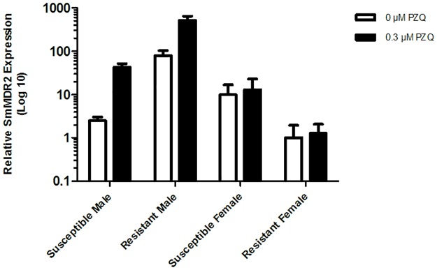 Fig 12