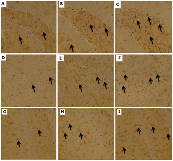 Fig 10