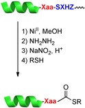 Figure 18