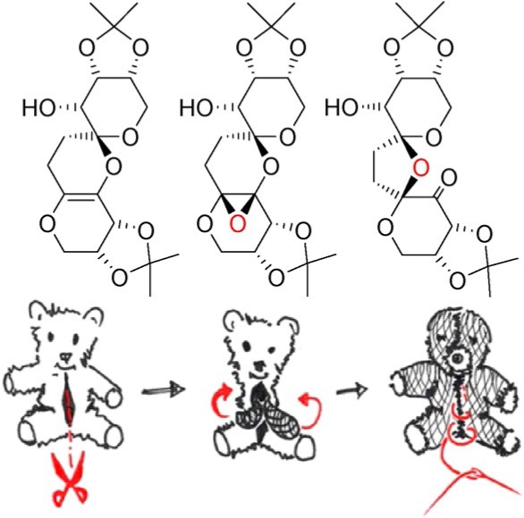 Figure 13