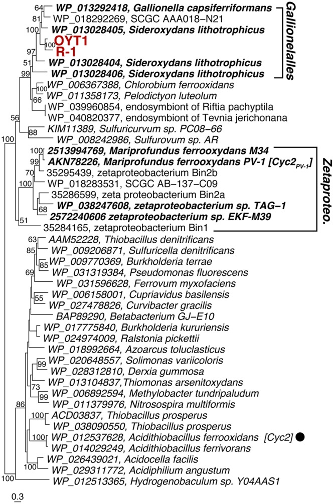 FIGURE 3