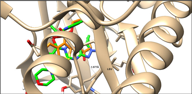 Figure 8