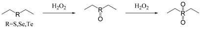 Figure 24