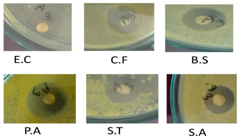 Figure 5