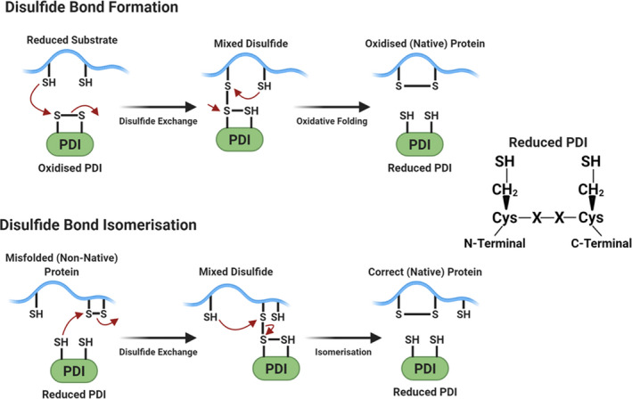 FIGURE 2