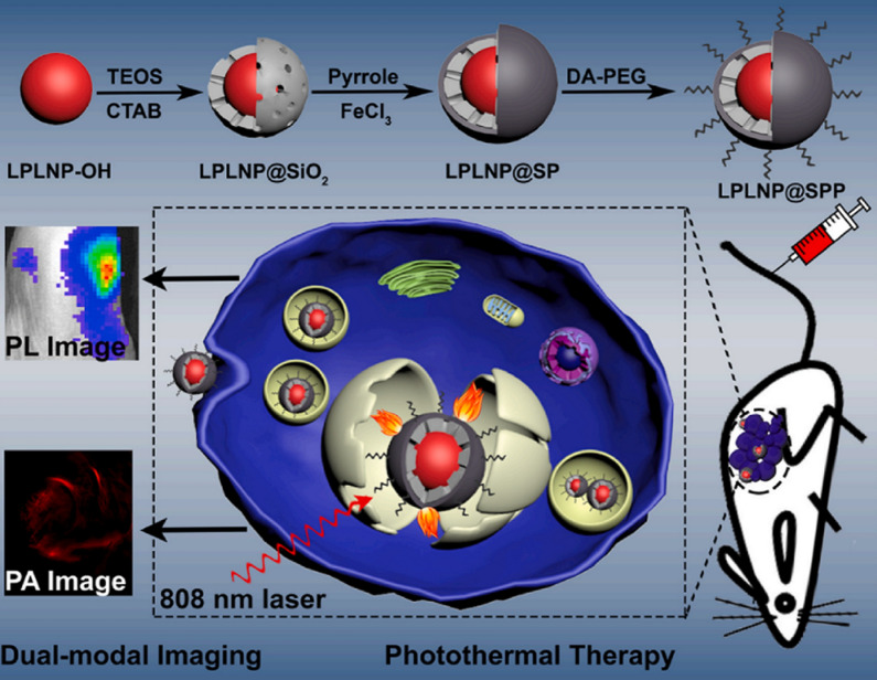 Figure 11