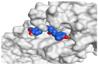 Figure 11