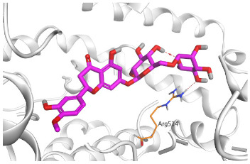 Figure 12