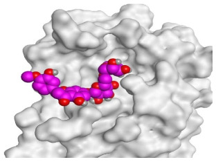 Figure 15