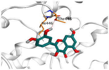 Figure 16