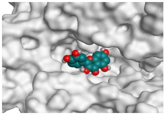 Figure 17