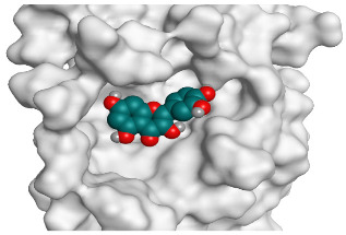 Figure 19